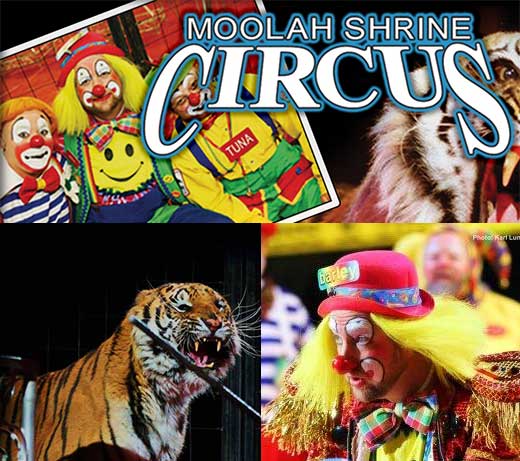 Shrine circus coupon codes