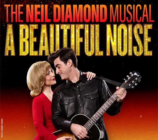 More Info for A Beautiful Noise