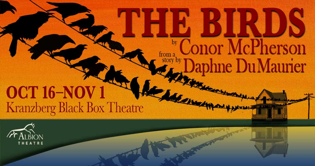 THE BIRDS by Conor McPherson