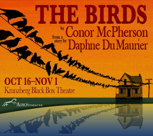More Info for THE BIRDS by Conor McPherson