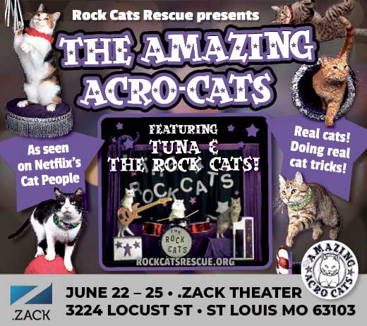 More Info for THE AMAZING ACRO-CATS SLIDE INTO ST. LOUIS