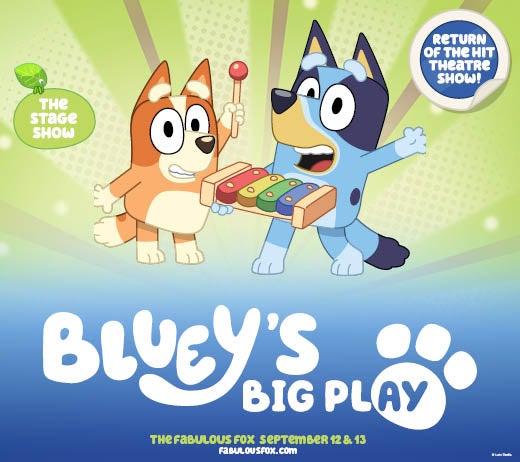 More Info for Bluey's Big Play