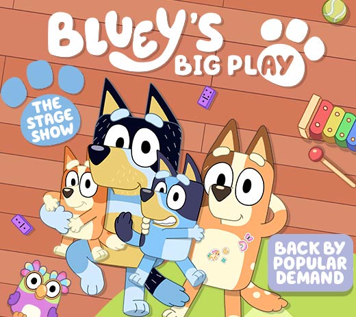 More Info for Bluey's Big Play