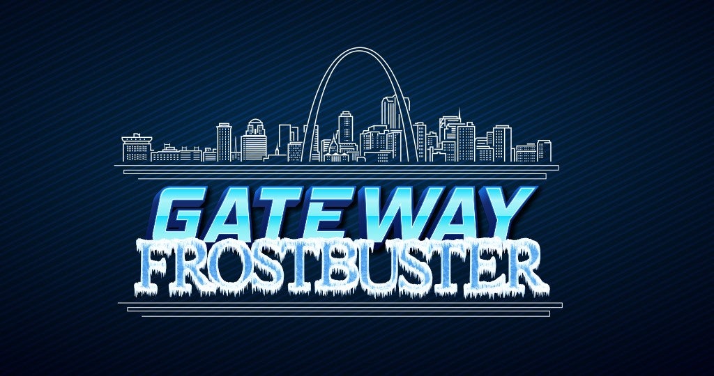 LUCAS OIL FROSTBUSTER