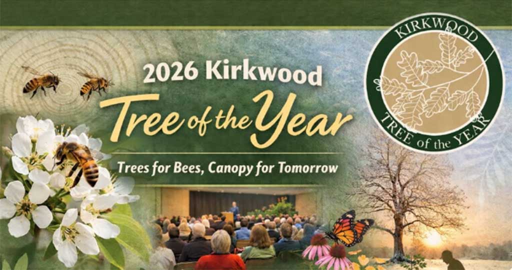 CITY OF KIRKWOOD'S TREE OF THE YEAR REVEAL