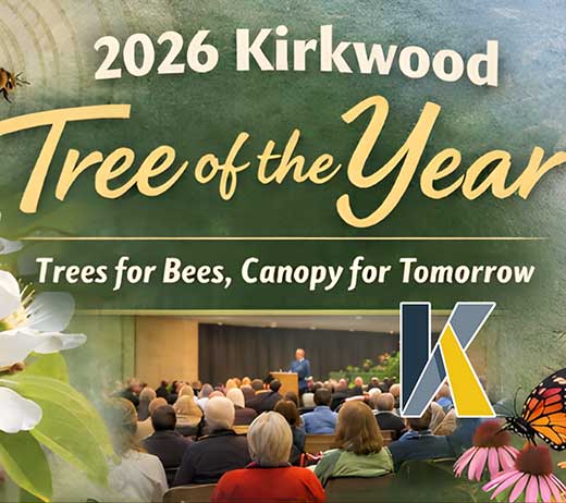 More Info for CITY OF KIRKWOOD'S TREE OF THE YEAR REVEAL