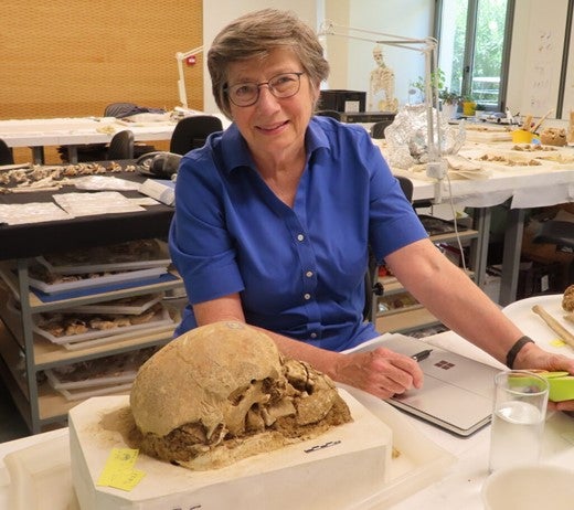 More Info for The Dead of Chaeronea: Unearthing a Lost Battlefield