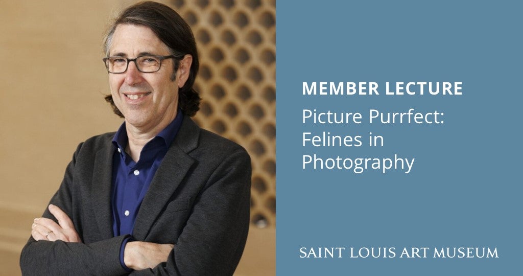 Member Lecture—Picture Purrfect: Felines in Photography