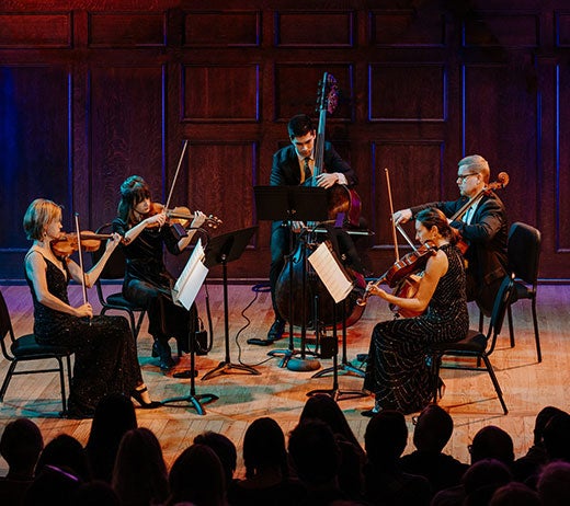 More Info for SLSO LIVE AT THE SHELDON