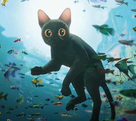 More Info for SLAM Cinema—Flow