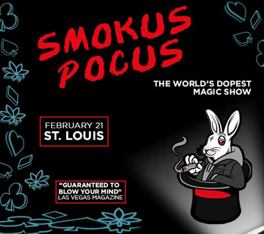 More Info for SMOKUS POCUS