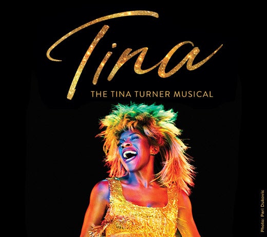 More Info for TINA - The Tina Turner Musical