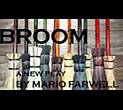 More Info for BROOM