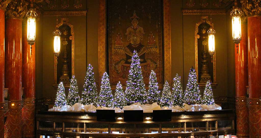 Fabulous Fox Holiday Tour